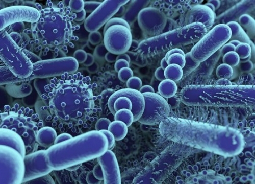 Črevesje in vitamin D