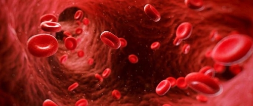 Dušikov oksid je ključnega pomena za zdravo staranje