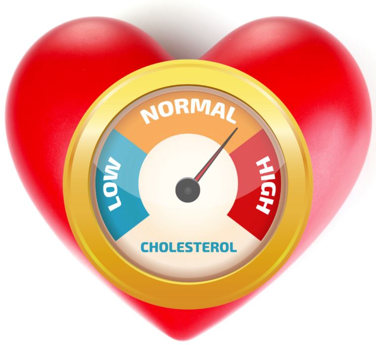 Holesterol kazalec